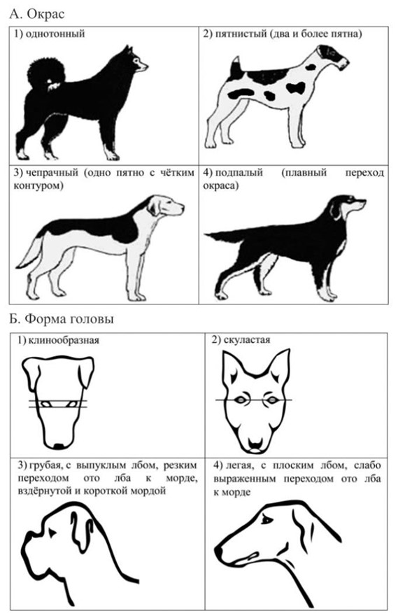 Иллюстрация к заданию, рис.2
