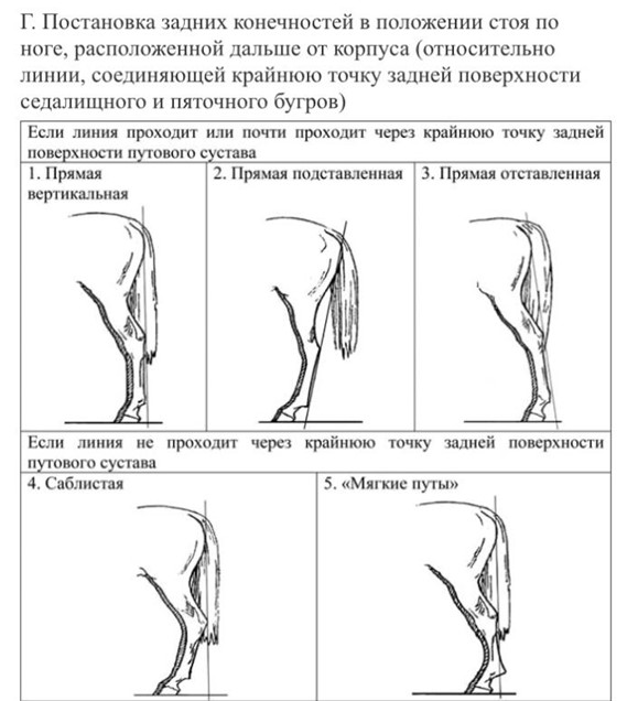 Иллюстрация к заданию, рис.3