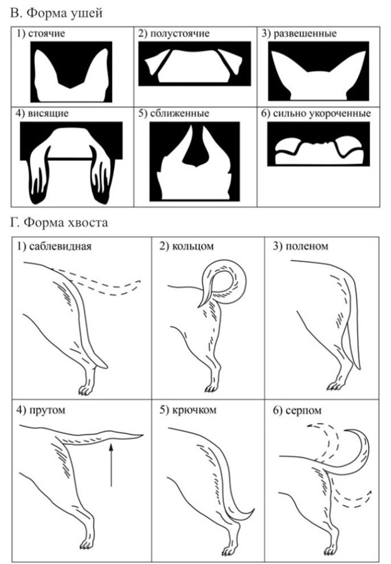 Иллюстрация к заданию, рис.3