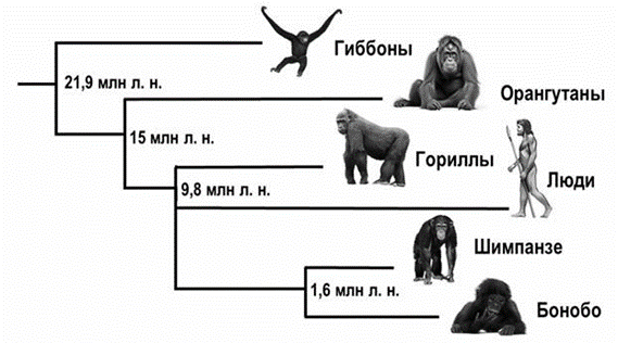 Иллюстрация к заданию, рис.1