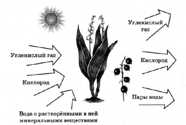 Иллюстрация к заданию, рис.1