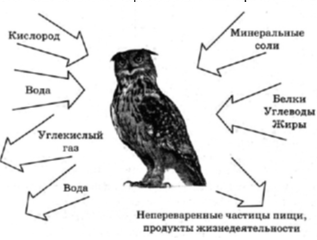 Иллюстрация к заданию, рис.1