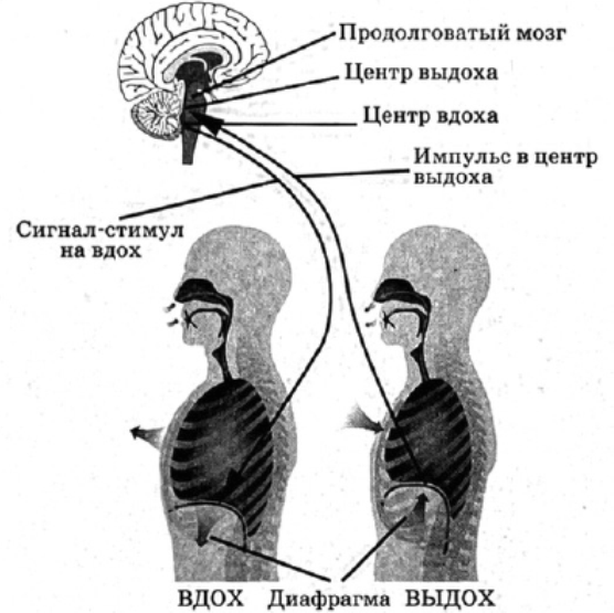 Иллюстрация к заданию, рис.1