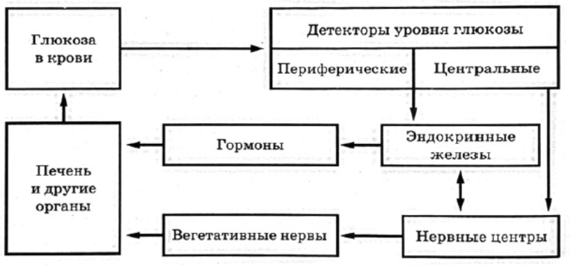 Иллюстрация к заданию, рис.1