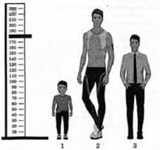 Иллюстрация к заданию, рис.1