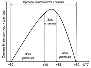 Иллюстрация к заданию, рис.2