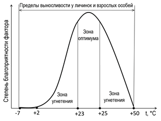 Иллюстрация к заданию, рис.2