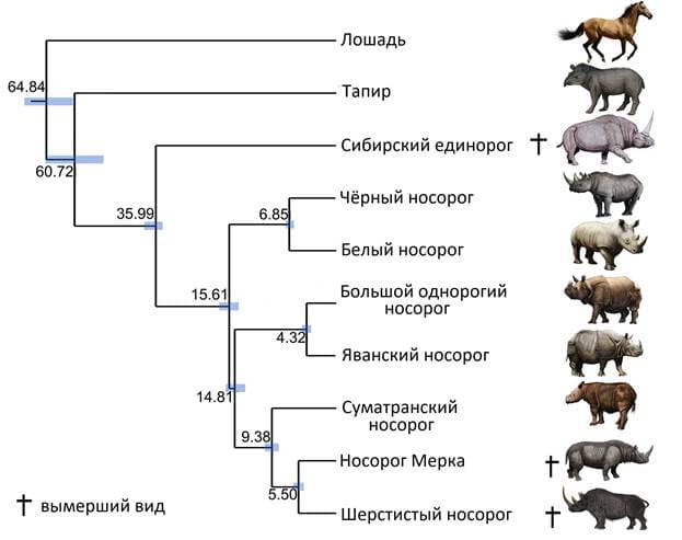 Общебиологические закономерности, задание 25, рис.1