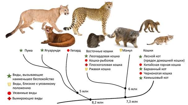 Общебиологические закономерности, задание 25, рис.1