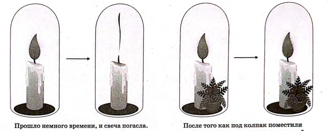 Методы биологии, задание 1, рис.1