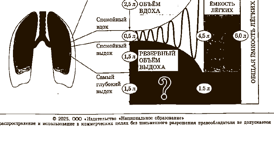 Травмы и заболевания человека, задание 22, рис.1