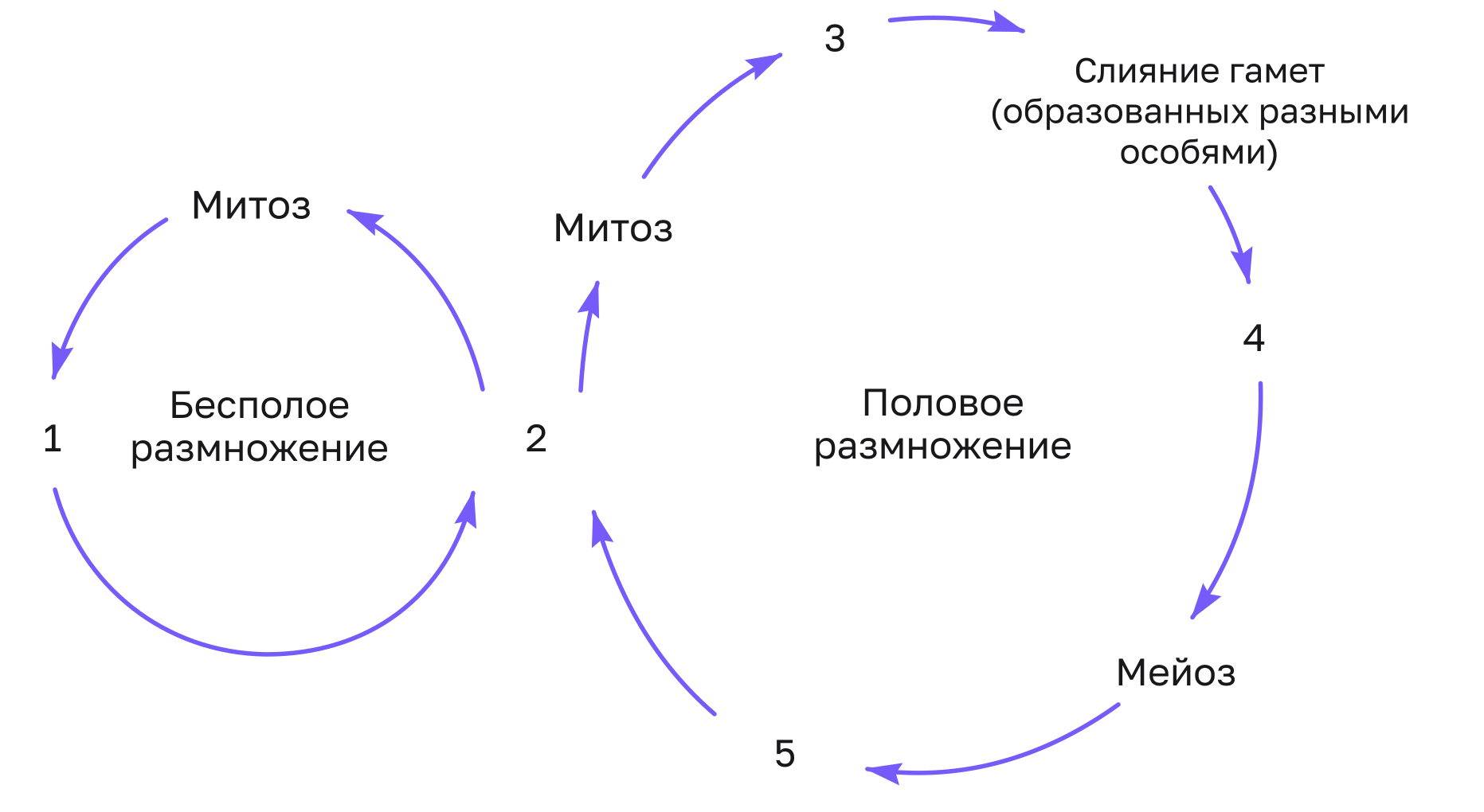 Иллюстрация к заданию, рис.1