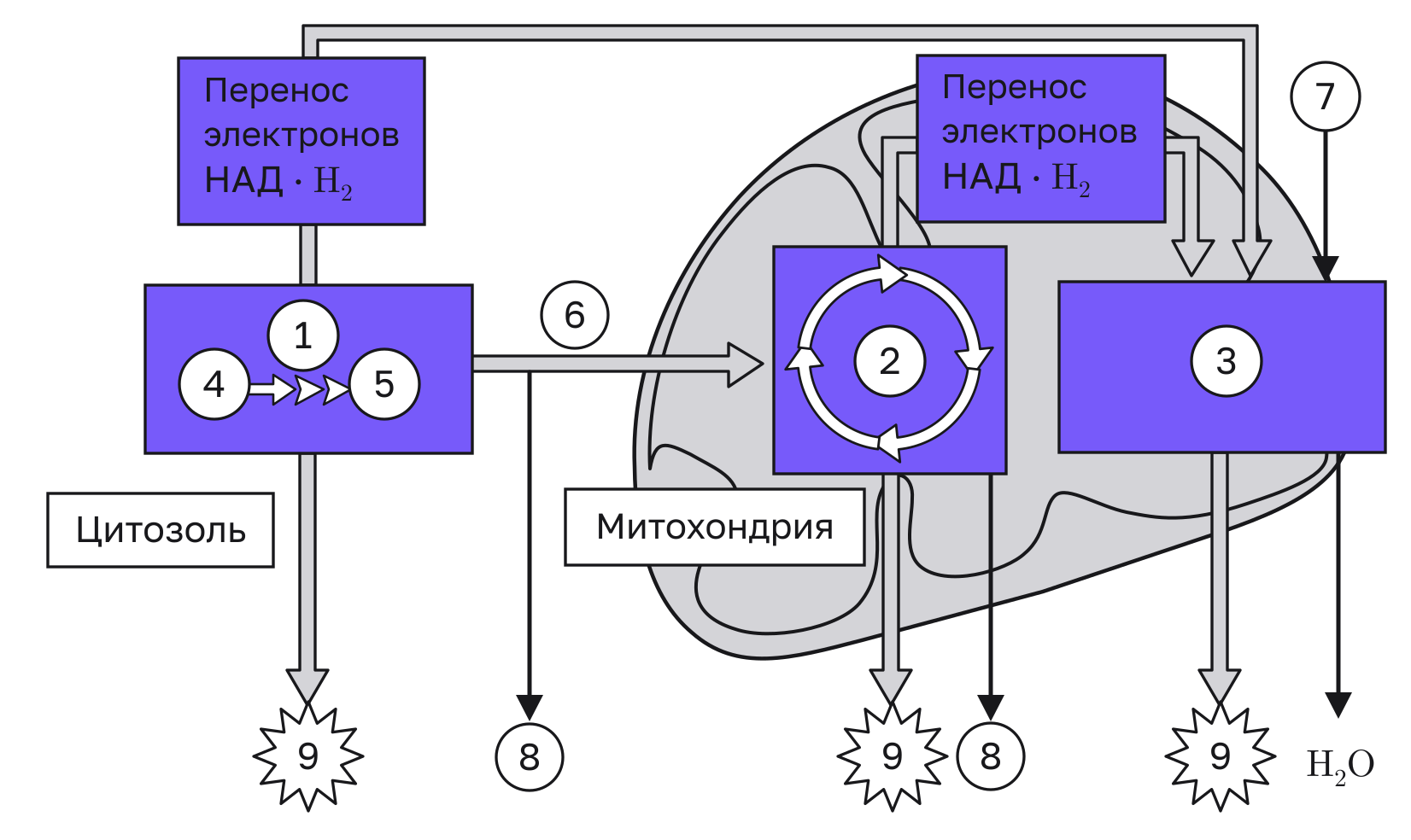 Иллюстрация к заданию, рис.1