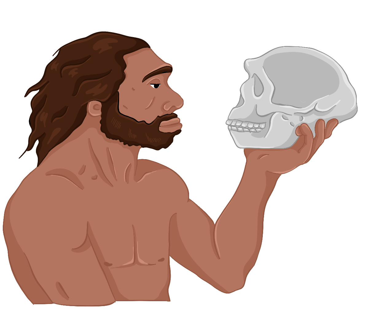 Биологические науки и разделы, задание 1, рис.1