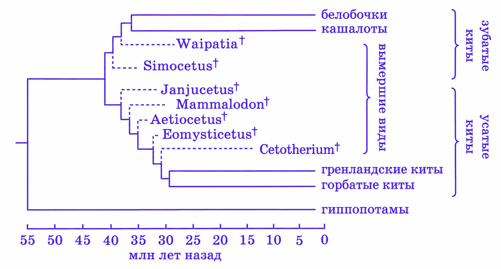 Иллюстрация к заданию, рис.1