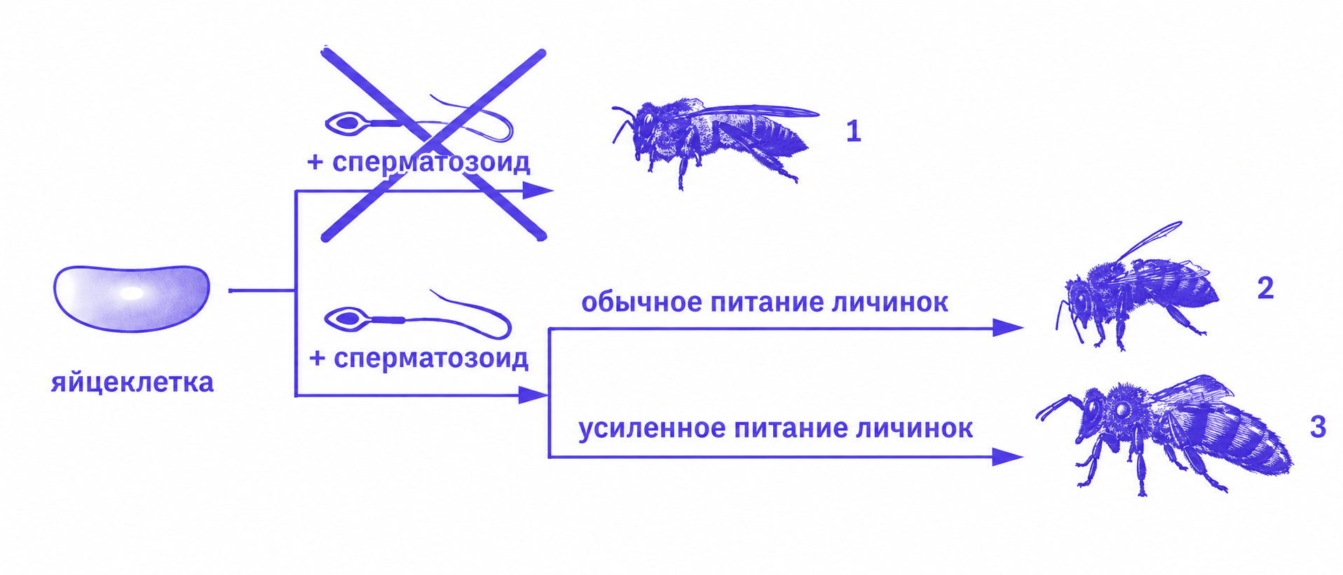 Иллюстрация к заданию, рис.1