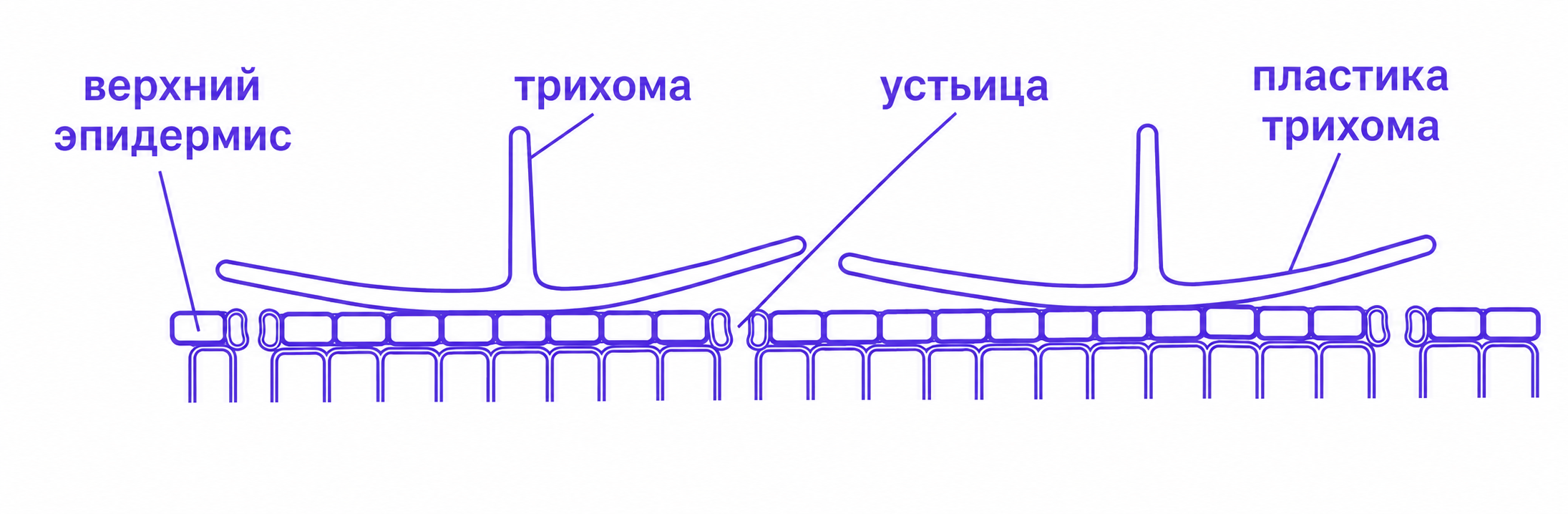 Иллюстрация к заданию, рис.1