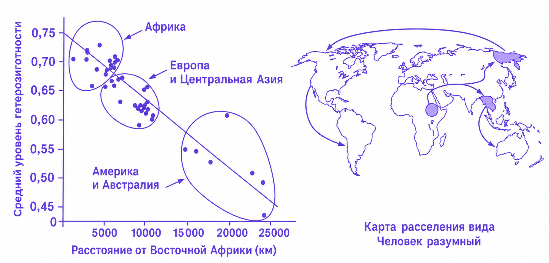 Иллюстрация к заданию, рис.1