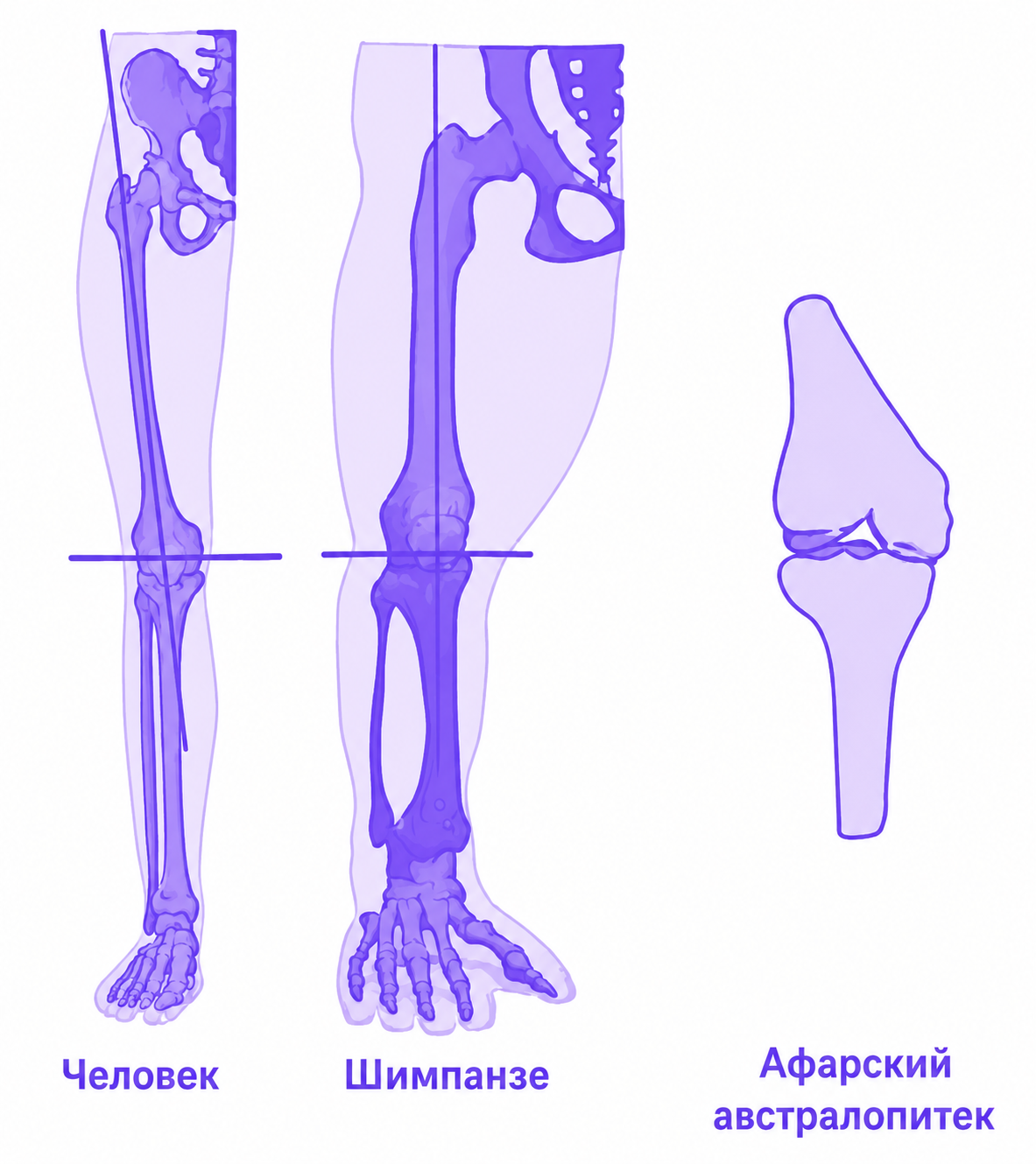 Иллюстрация к заданию, рис.1