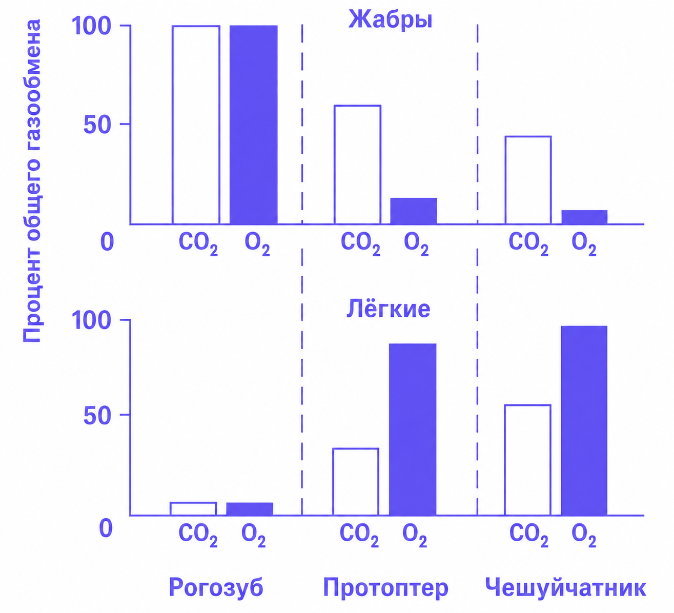 Иллюстрация к заданию, рис.1