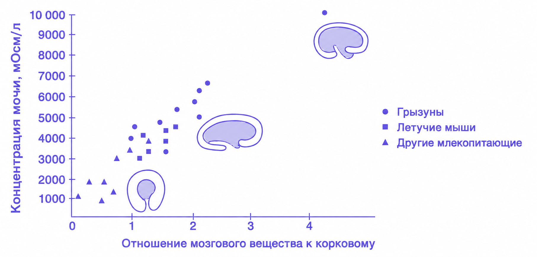 Иллюстрация к заданию, рис.1
