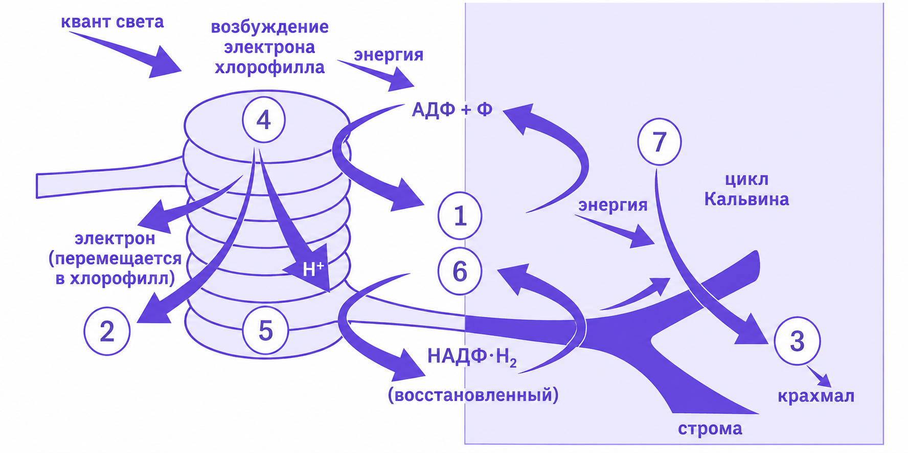 Иллюстрация к заданию, рис.1