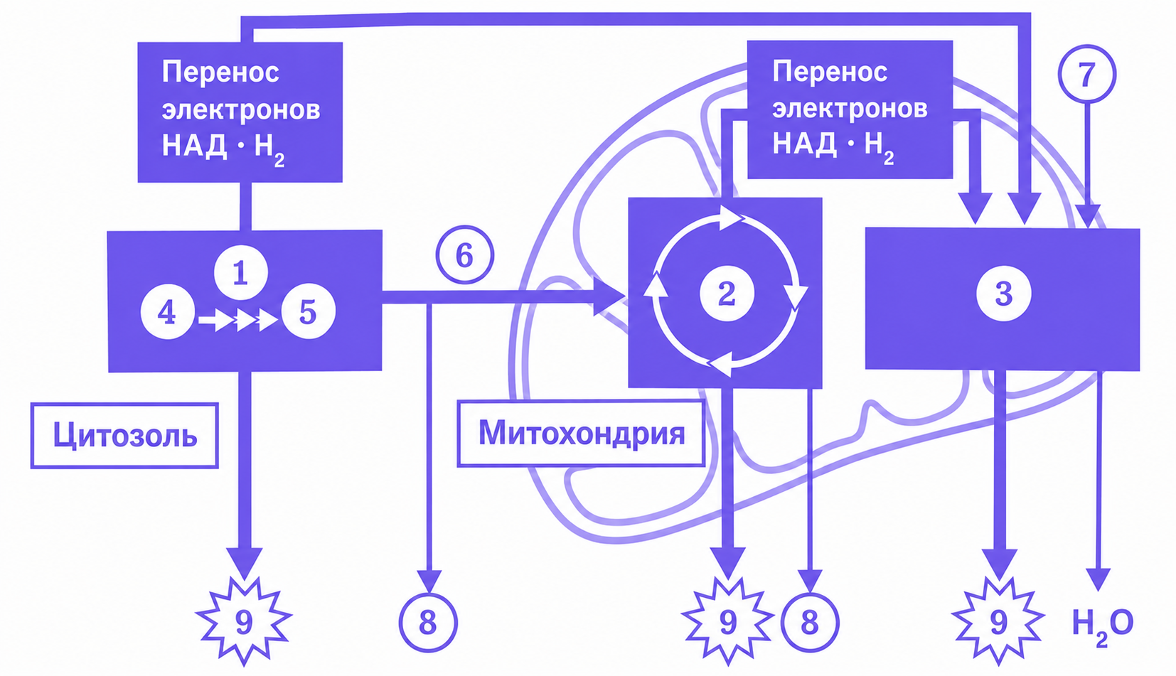 Иллюстрация к заданию, рис.1