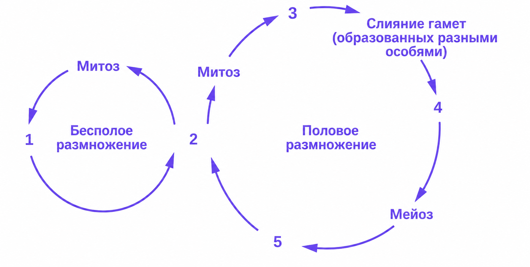 Иллюстрация к заданию, рис.1