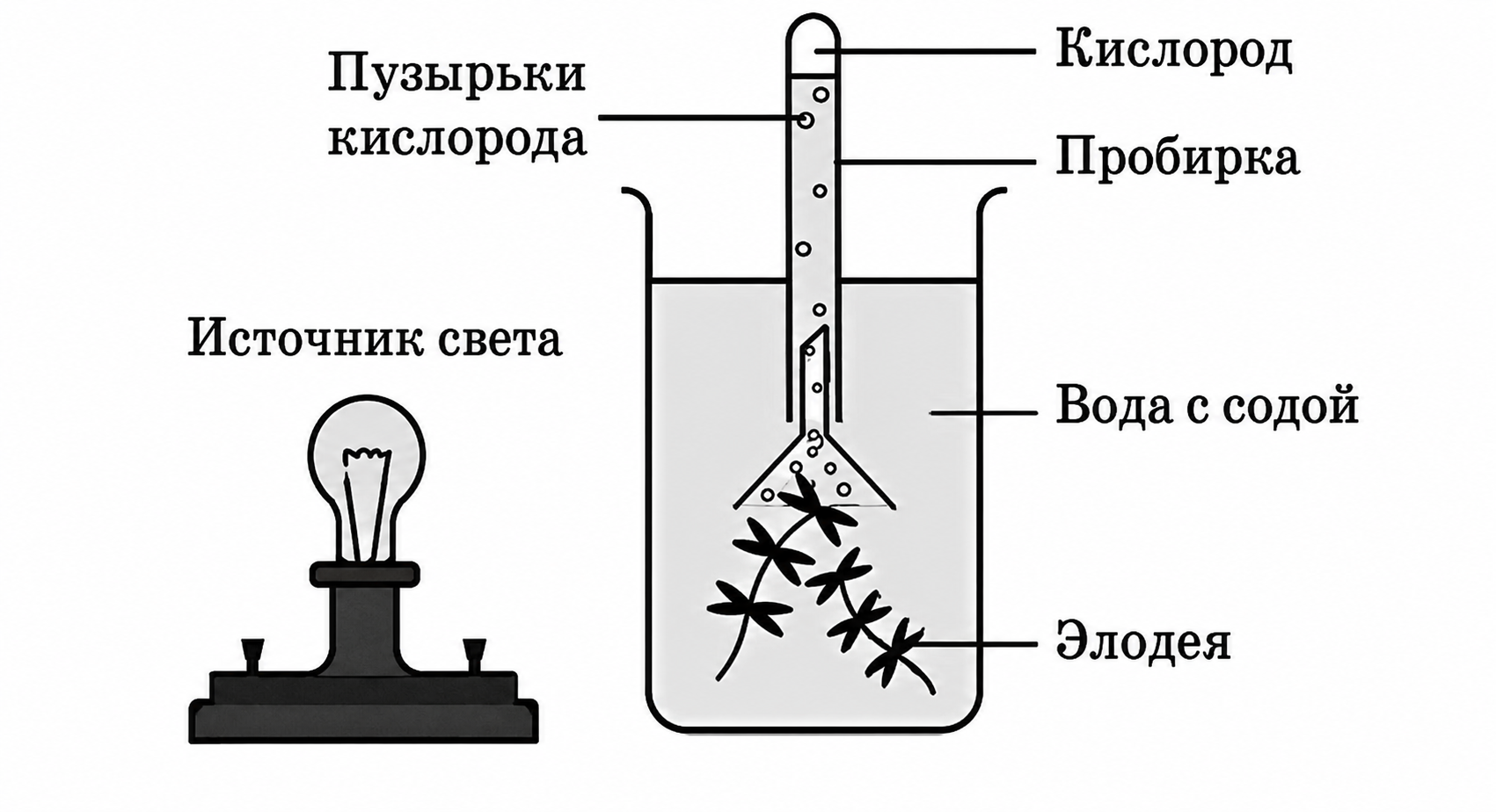 Иллюстрация к заданию, рис.1