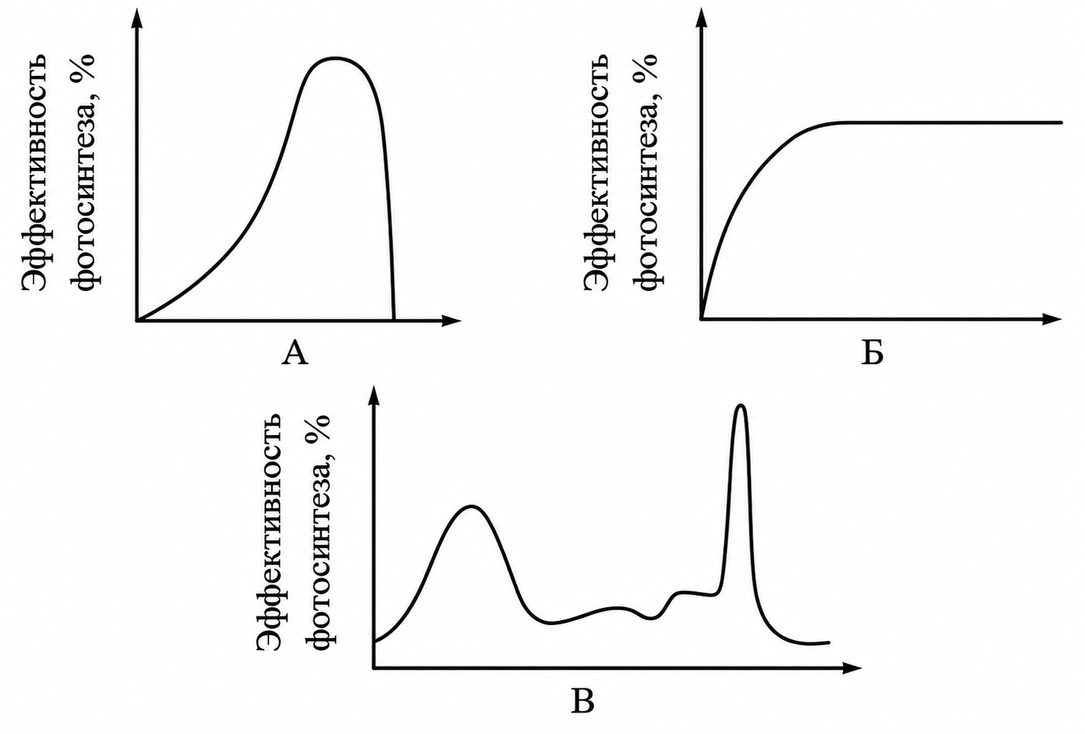 Иллюстрация к заданию, рис.1