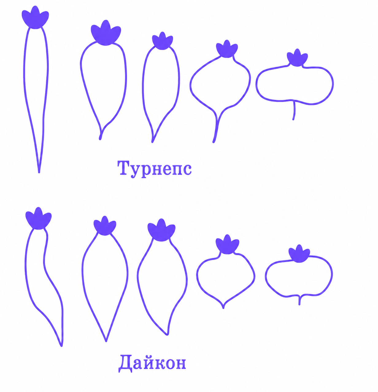 Иллюстрация к заданию, рис.1