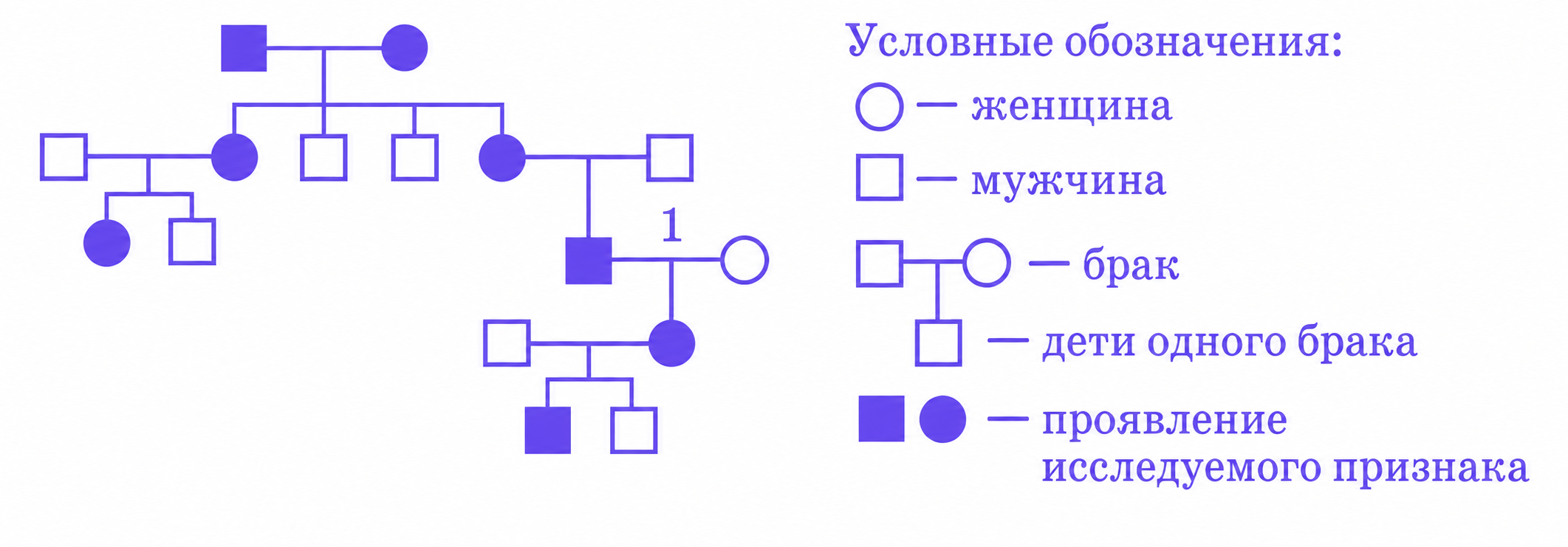 Иллюстрация к заданию, рис.1
