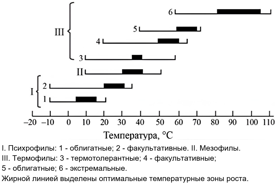 Иллюстрация к заданию, рис.1