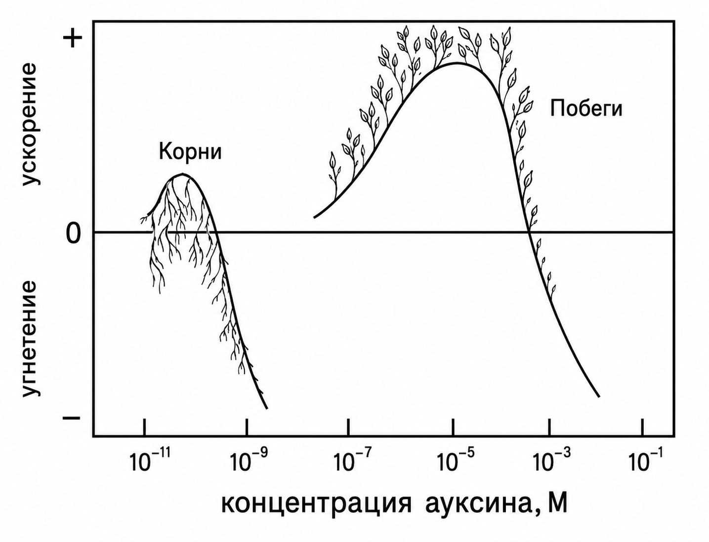Иллюстрация к заданию, рис.1