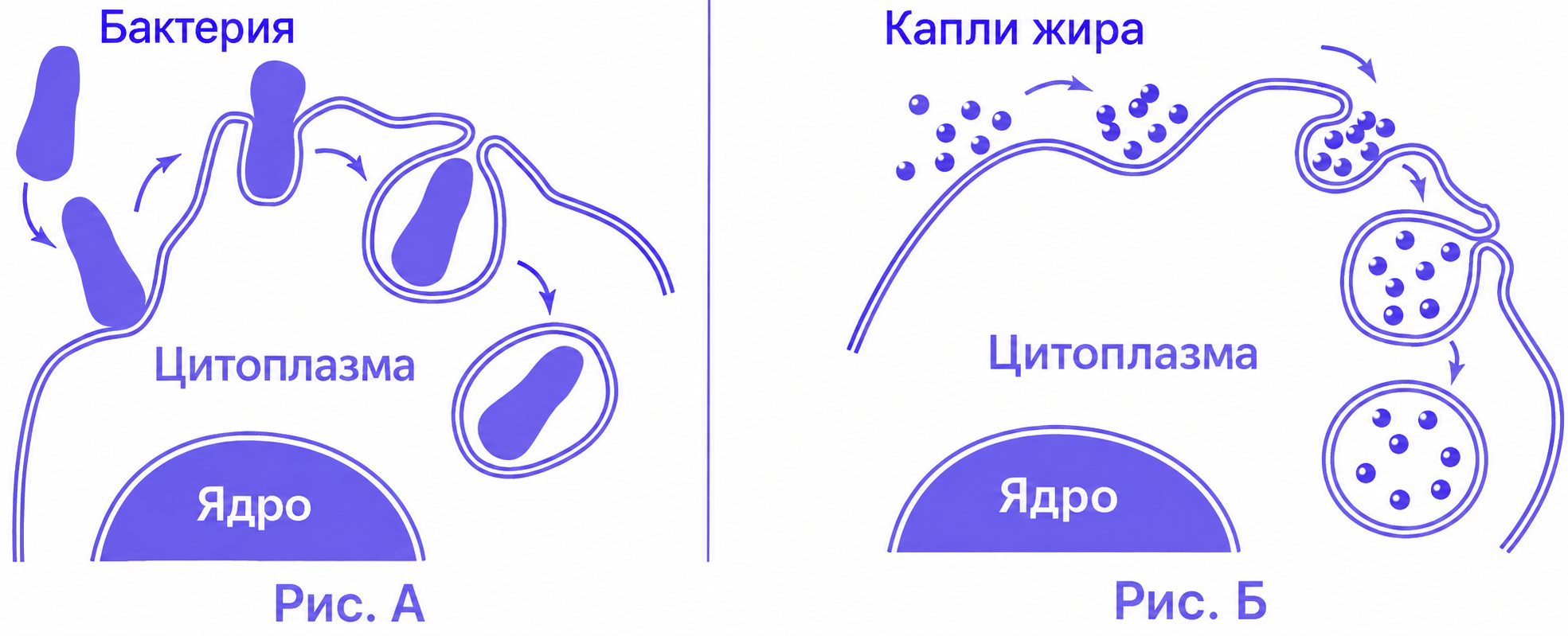 Иллюстрация к заданию, рис.1