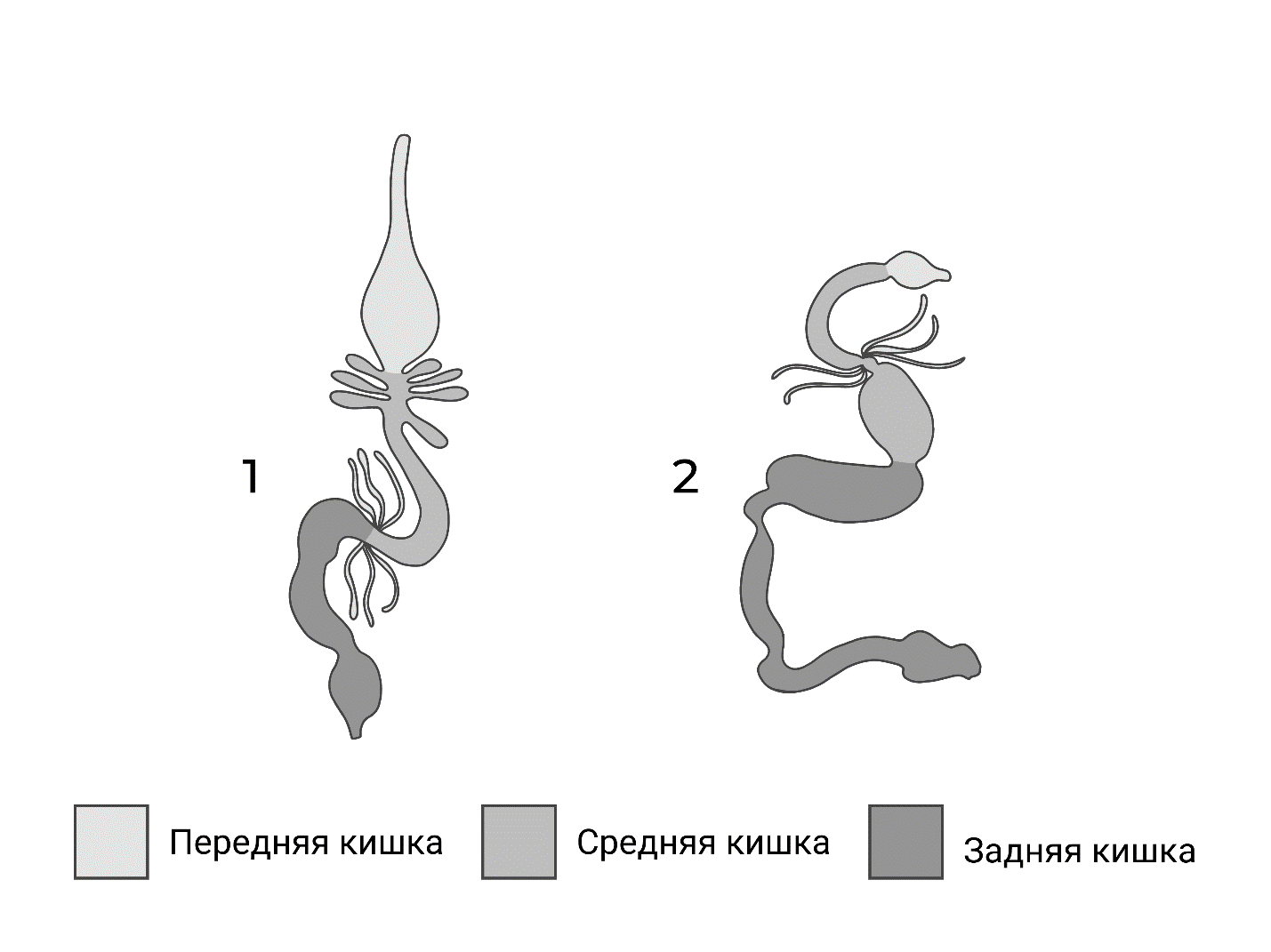 Иллюстрация к заданию, рис.1