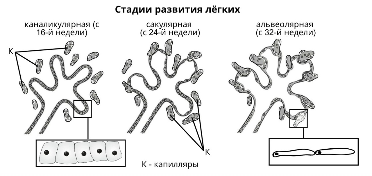 Иллюстрация к заданию, рис.1