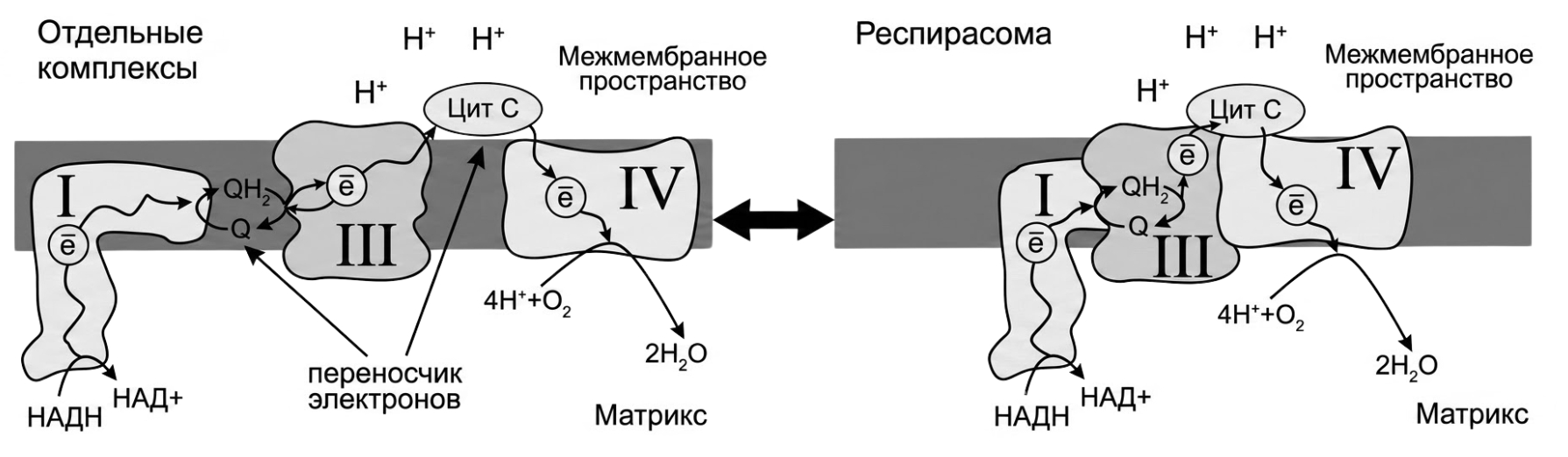 Иллюстрация к заданию, рис.1