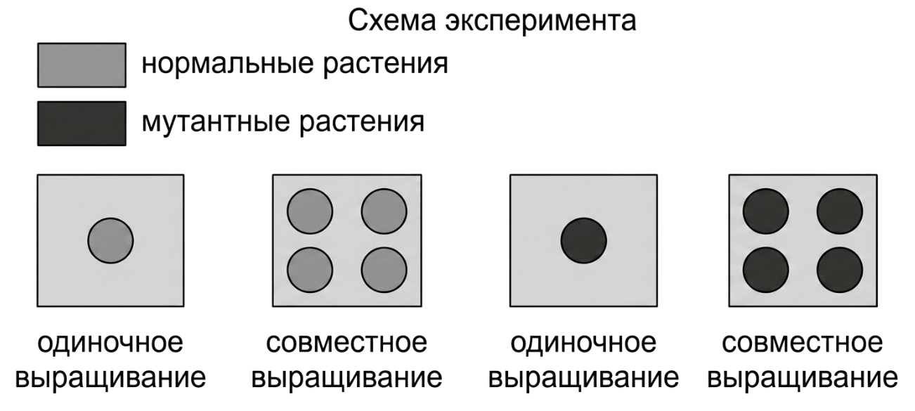 Иллюстрация к заданию, рис.1
