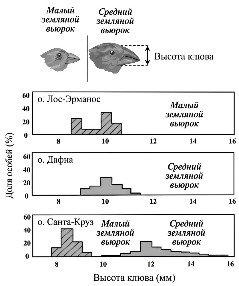 Иллюстрация к заданию, рис.1