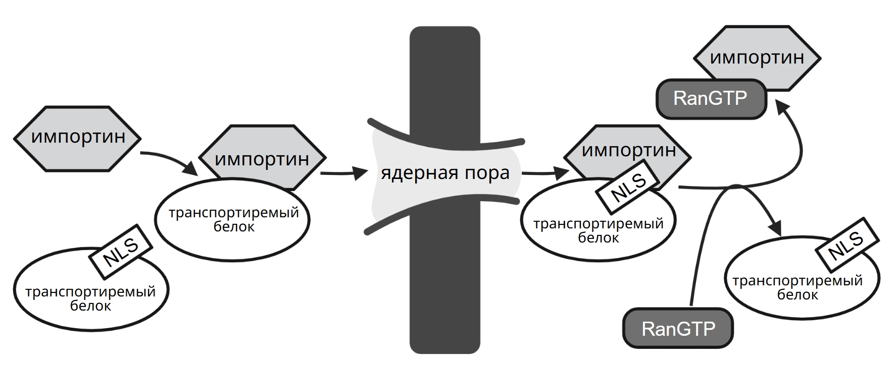 Иллюстрация к заданию, рис.1