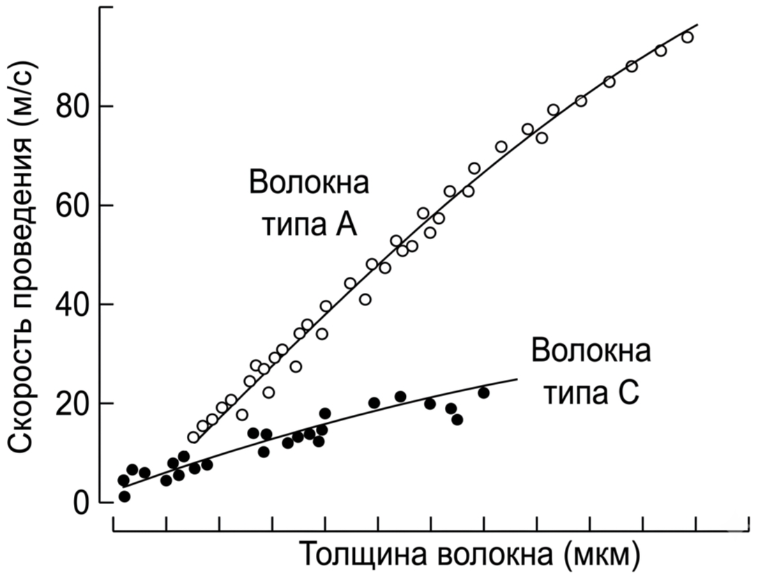 Иллюстрация к заданию, рис.1