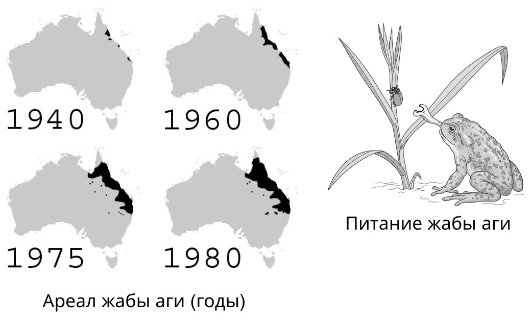 Иллюстрация к заданию, рис.1