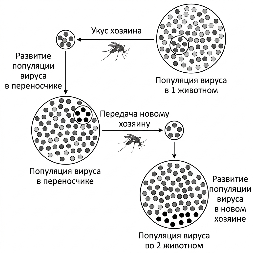 Иллюстрация к заданию, рис.1