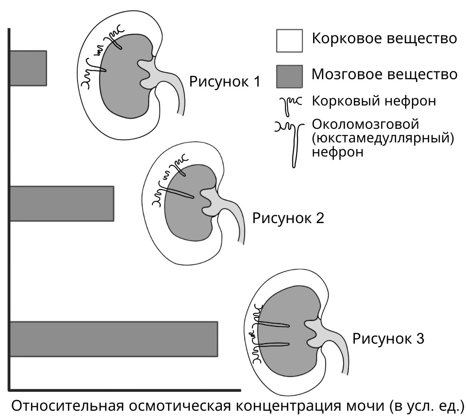 Иллюстрация к заданию, рис.1