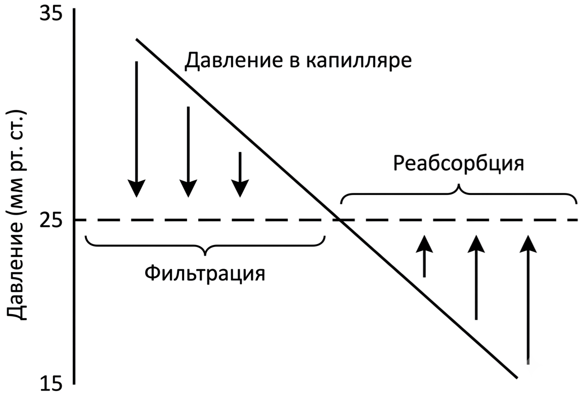 Иллюстрация к заданию, рис.1