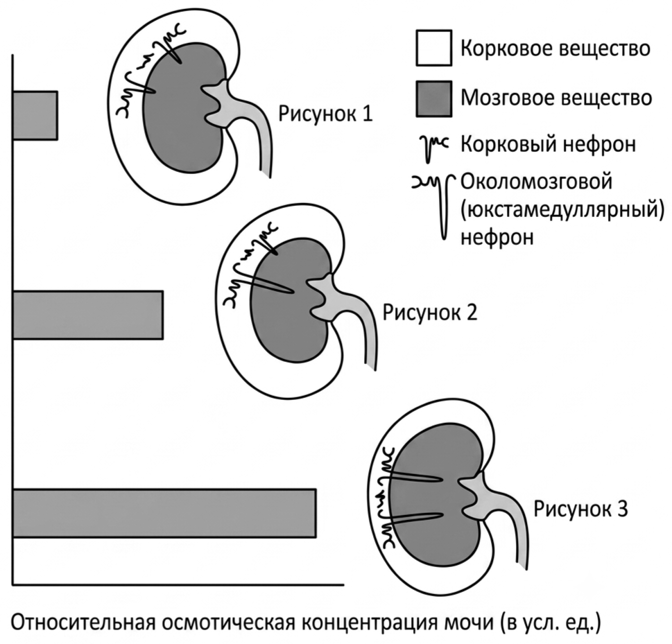 Иллюстрация к заданию, рис.1