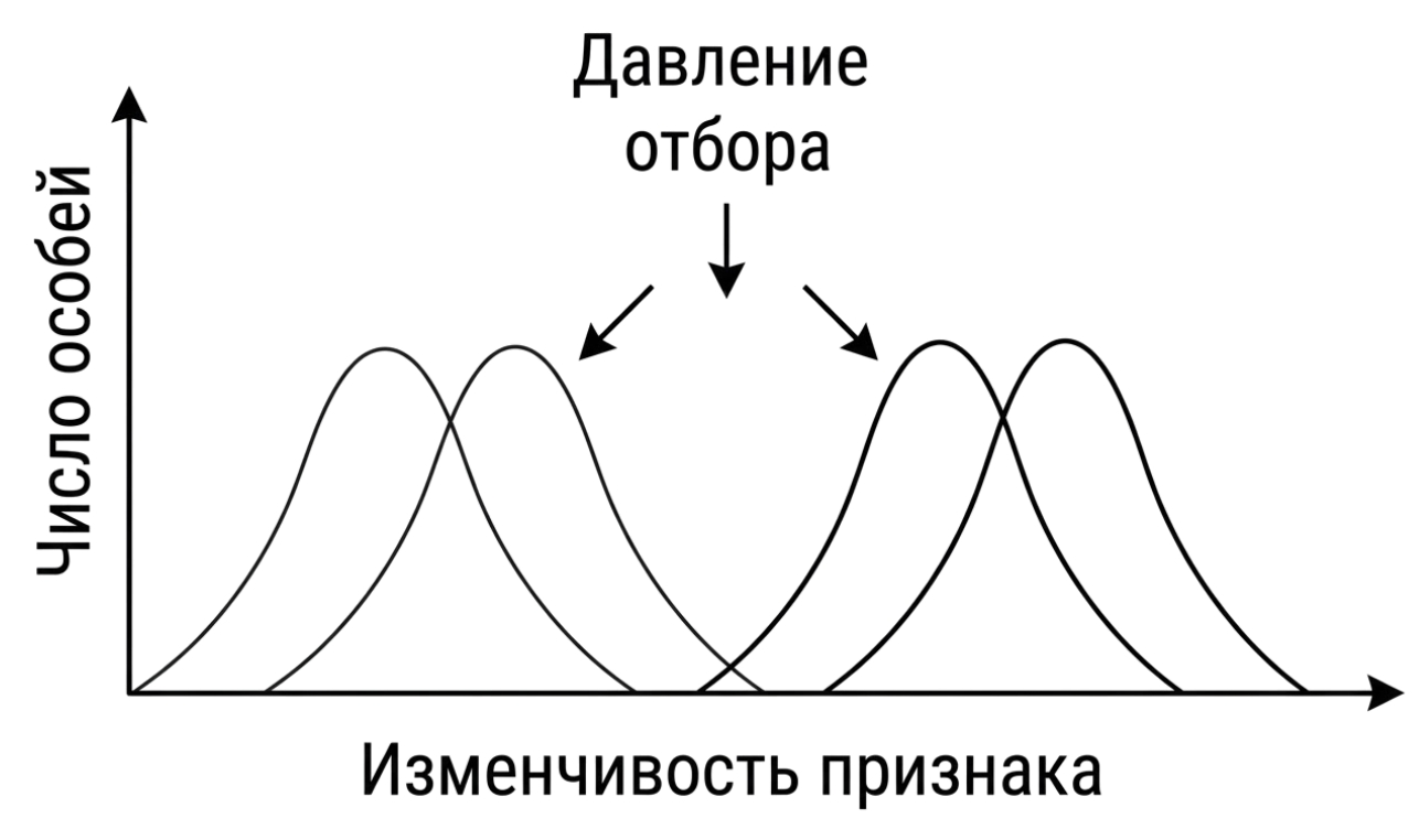Иллюстрация к заданию, рис.1