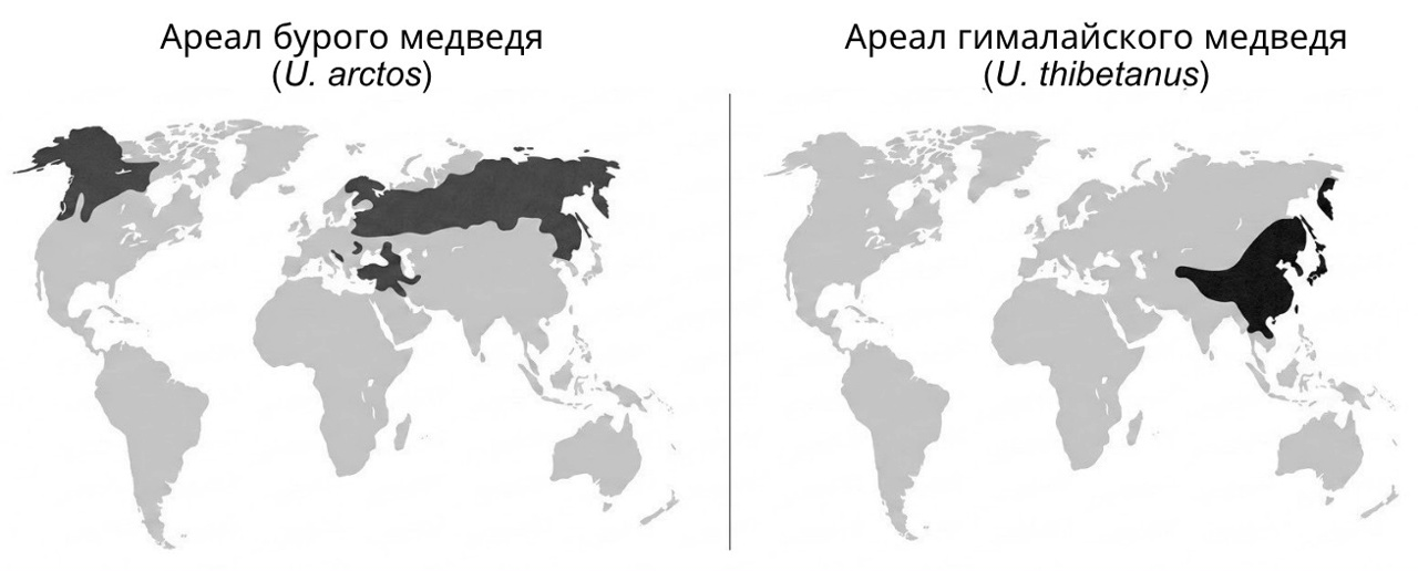 Иллюстрация к заданию, рис.1