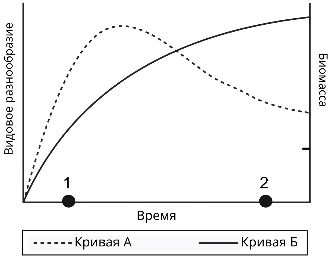 Иллюстрация к заданию, рис.1